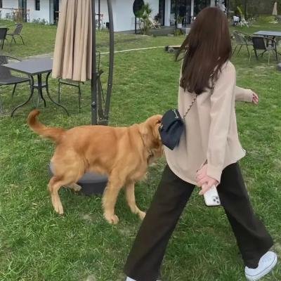 辛普森一家大电影