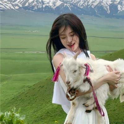 我的麻吉4个鬼